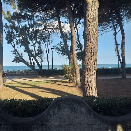 Room In Bb - Spacious Double Room Beside The Sea Pineto Exterior foto